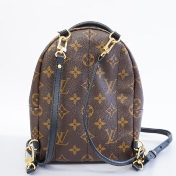 Louis Vuitton Monogram Palm Springs Backpack - Picture 10 of 10